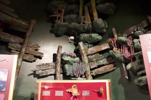 Museum